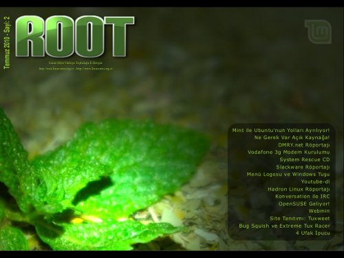 root-sayi2